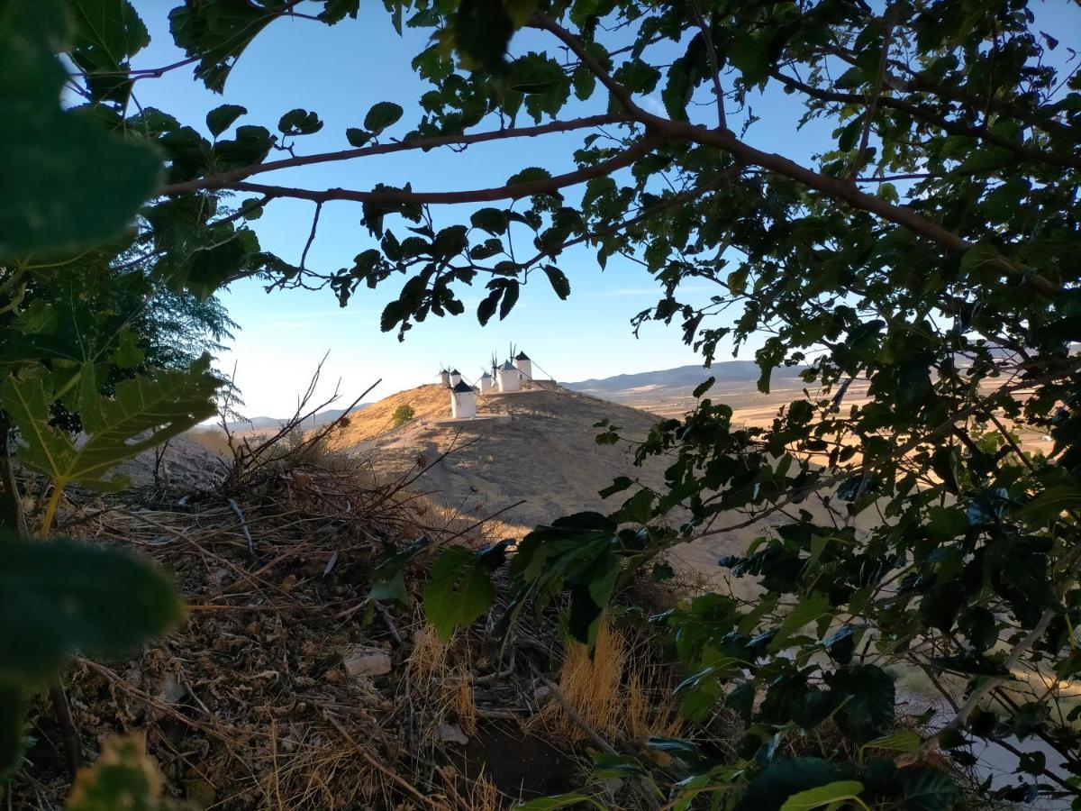 Azafran Consuegra Guest House Exterior photo