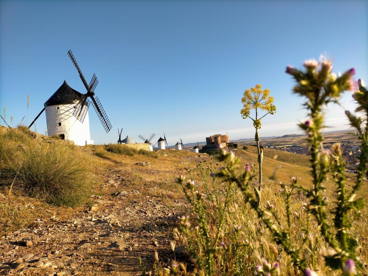 Azafran Consuegra Guest House Exterior photo